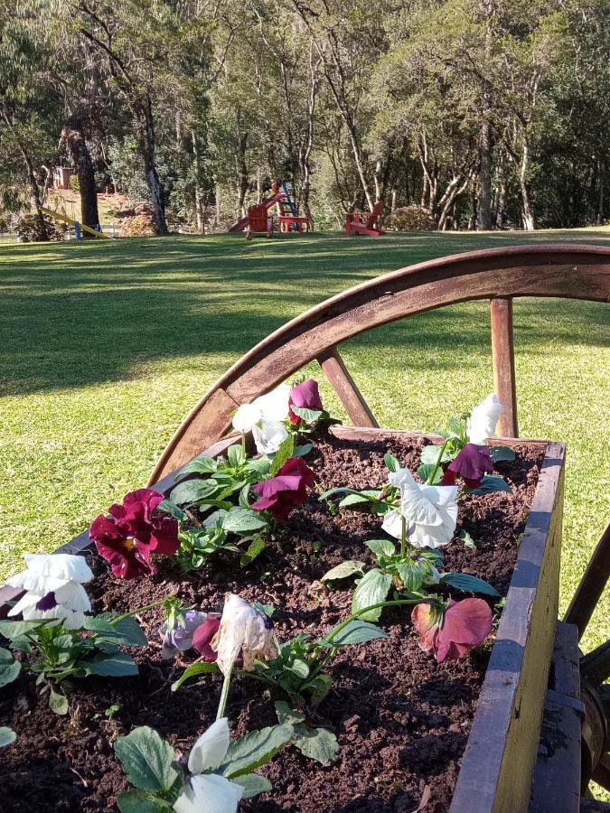 Magia Hortensias - Natureza, Hidromassagem E Muita Tranquilidade! Holiday home Canela